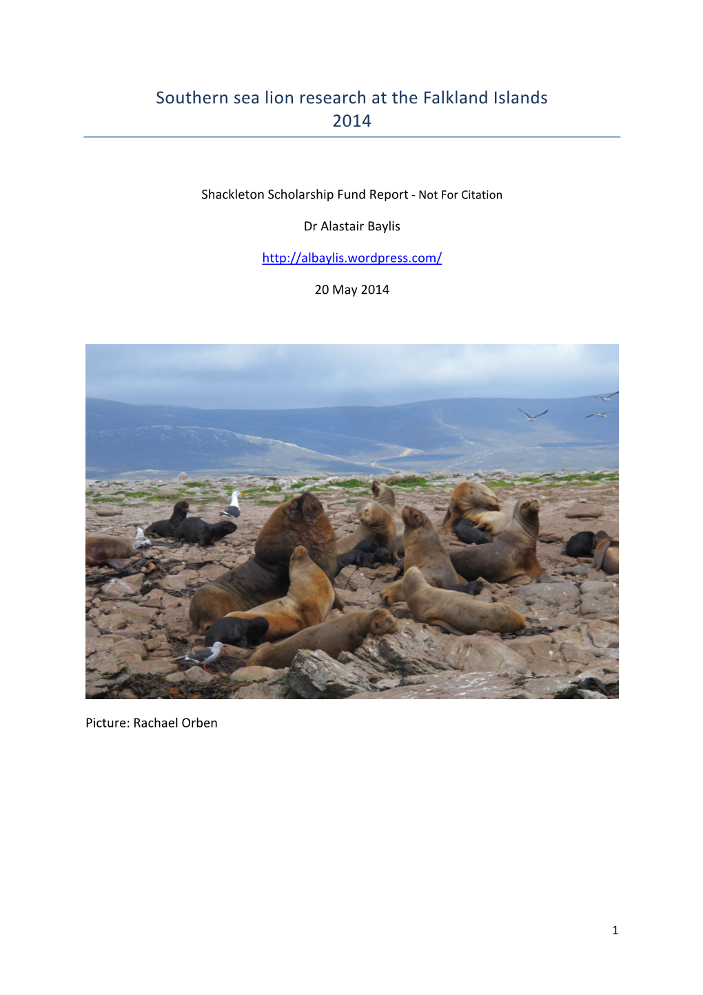 Southern Sea Lion Research at the Falkland Islands 2014