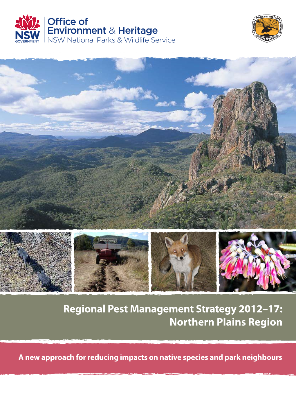 Regional Pest Management Strategy 2012–17: Northern Plains Region