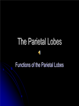 Functions of the Parietal Lobes the Parietal Lobes Develop at About the Age of 5 Years