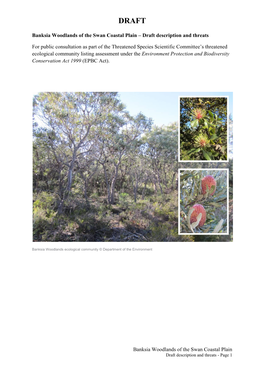 Banksia Woodlands of the Swan Coastal Plain – Draft Description and Threats