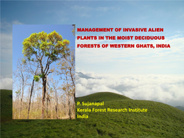 P. Sujanapal Kerala Forest Research Institute India Western Ghats – the Lifeline of Peninsular India Phytogeographical Similarities with Sri Lanka