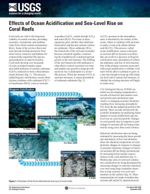 Effects of Ocean Acidification and Sea-Level Rise on Coral Reefs