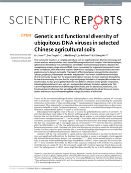 Genetic and Functional Diversity of Ubiquitous DNA Viruses in Selected