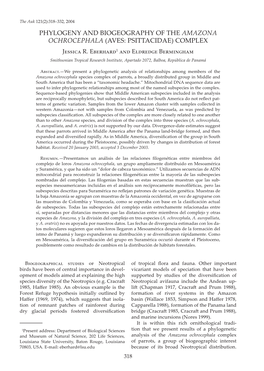 Phylogeny and Biogeography of the Amazona Ochrocephala Complex
