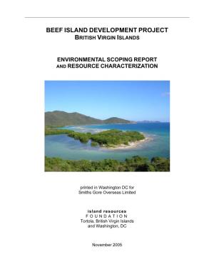 Beef Island Development Project British Virgin Islands