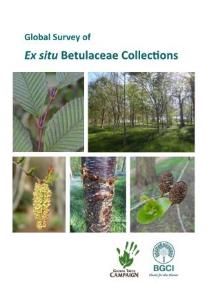 Global Survey of Ex Situ Betulaceae Collections Global Survey of Ex Situ Betulaceae Collections