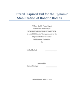 Lizard Inspired Tail for the Dynamic Stabilization of Robotic Bodies