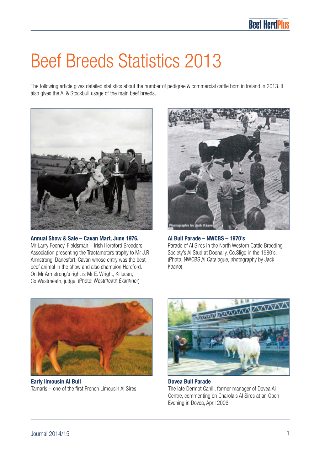 Beef Breeds Statistics 2013