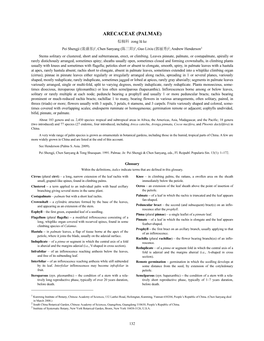 Arecaceae (PDF)