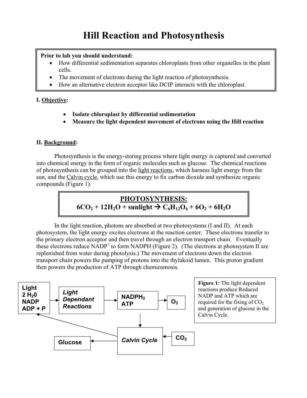 Hill Reaction and Photosynthesis