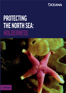 PROTECTING the NORTH SEA: HOLDERNESS PROTECTING the NORTH SEA: HOLDERNESS European Headquarters - Madrid E-Mail: Europe@Oceana.Org