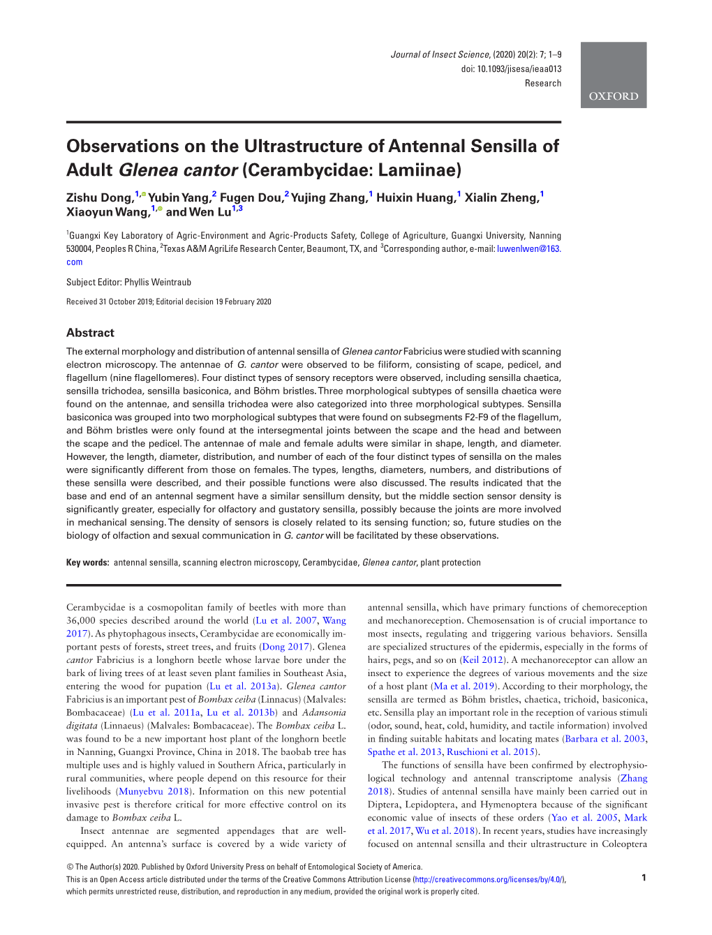 Observations on the Ultrastructure of Antennal Sensilla of Adult Glenea