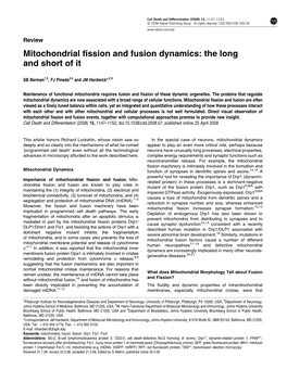 Mitochondrial Fission and Fusion Dynamics: the Long and Short of It