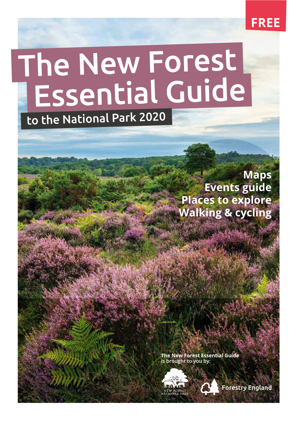 Essential Guide 2020