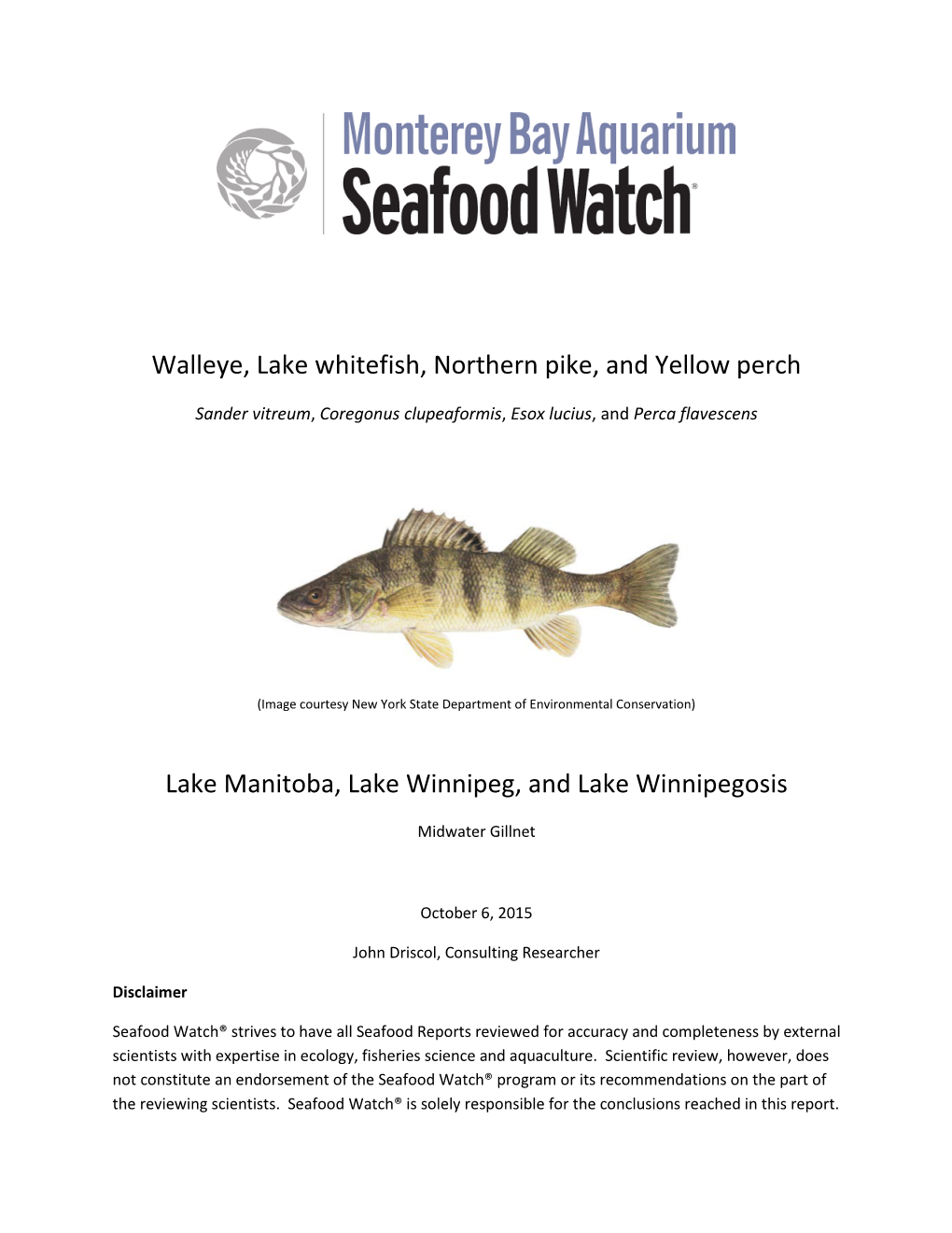 Walleye, Lake Whitefish, Northern Pike, and Yellow Perch