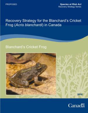 Blanchard's Cricket Frog (Acris Blanchardi)