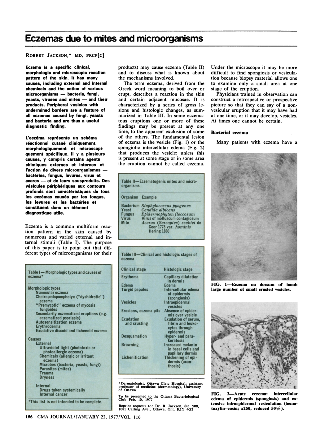 Eczemas Due to Mites and Microorganisms