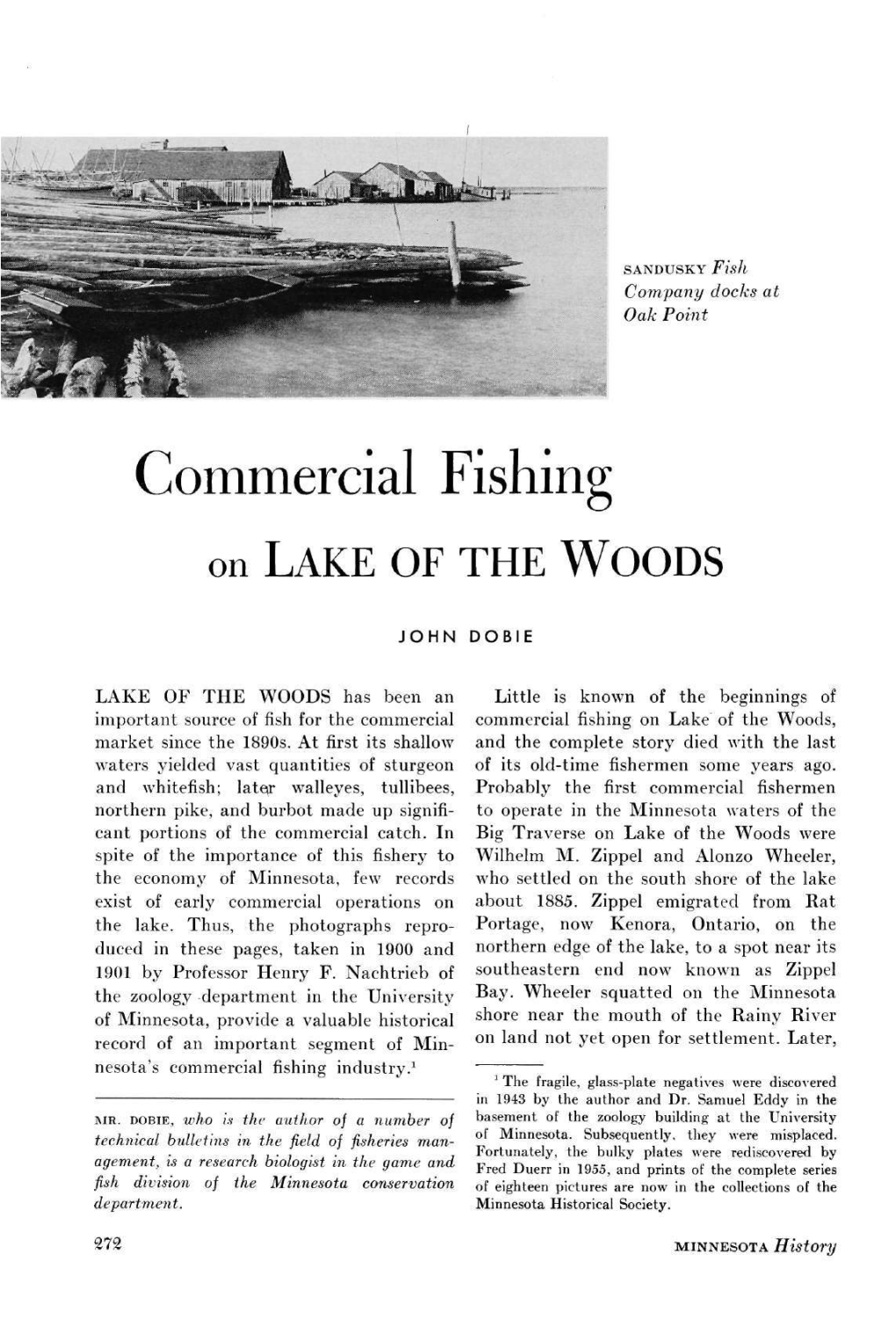Commercial Fishing on Lake of the Woods