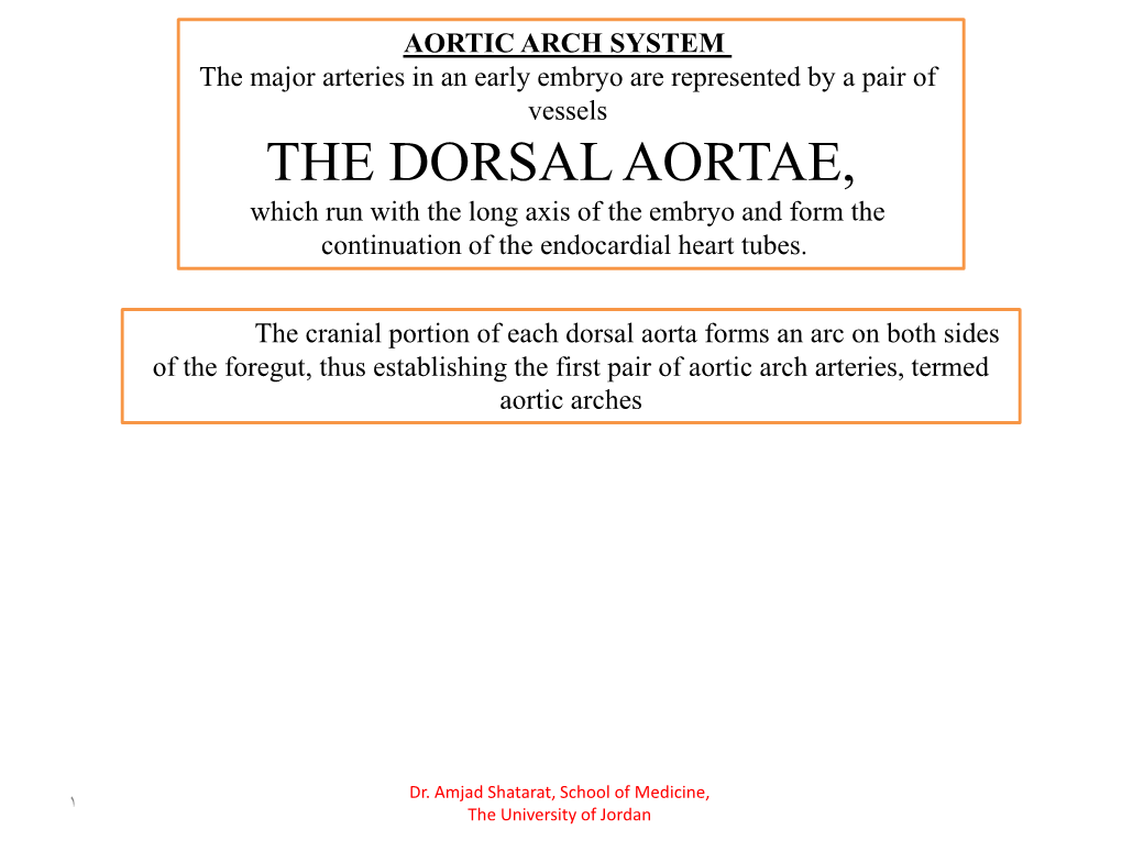 THE DORSAL AORTAE, Which Run with the Long Axis of the Embryo and Form the Continuation of the Endocardial Heart Tubes