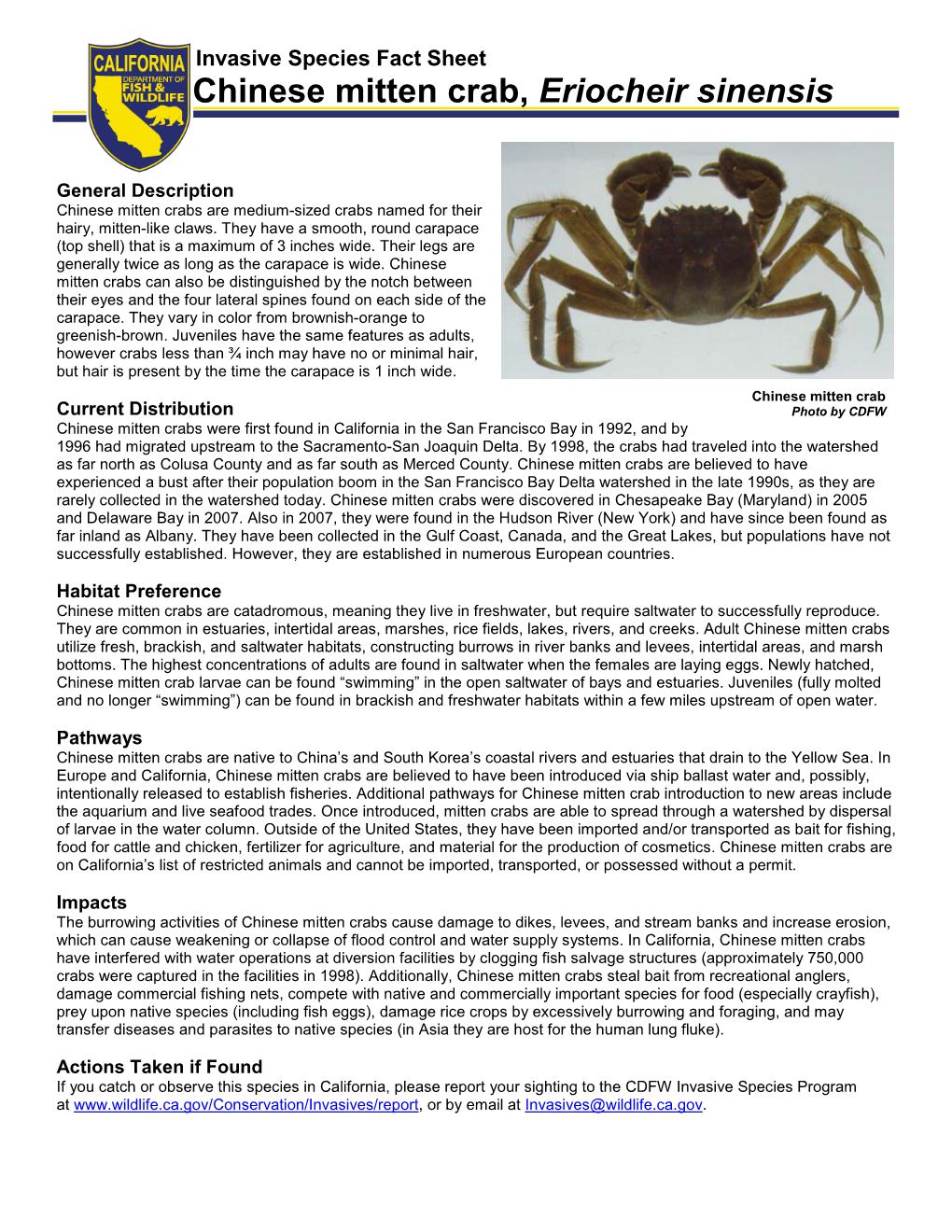Fact Sheet Chinese Mitten Crab, Eriocheir Sinensis