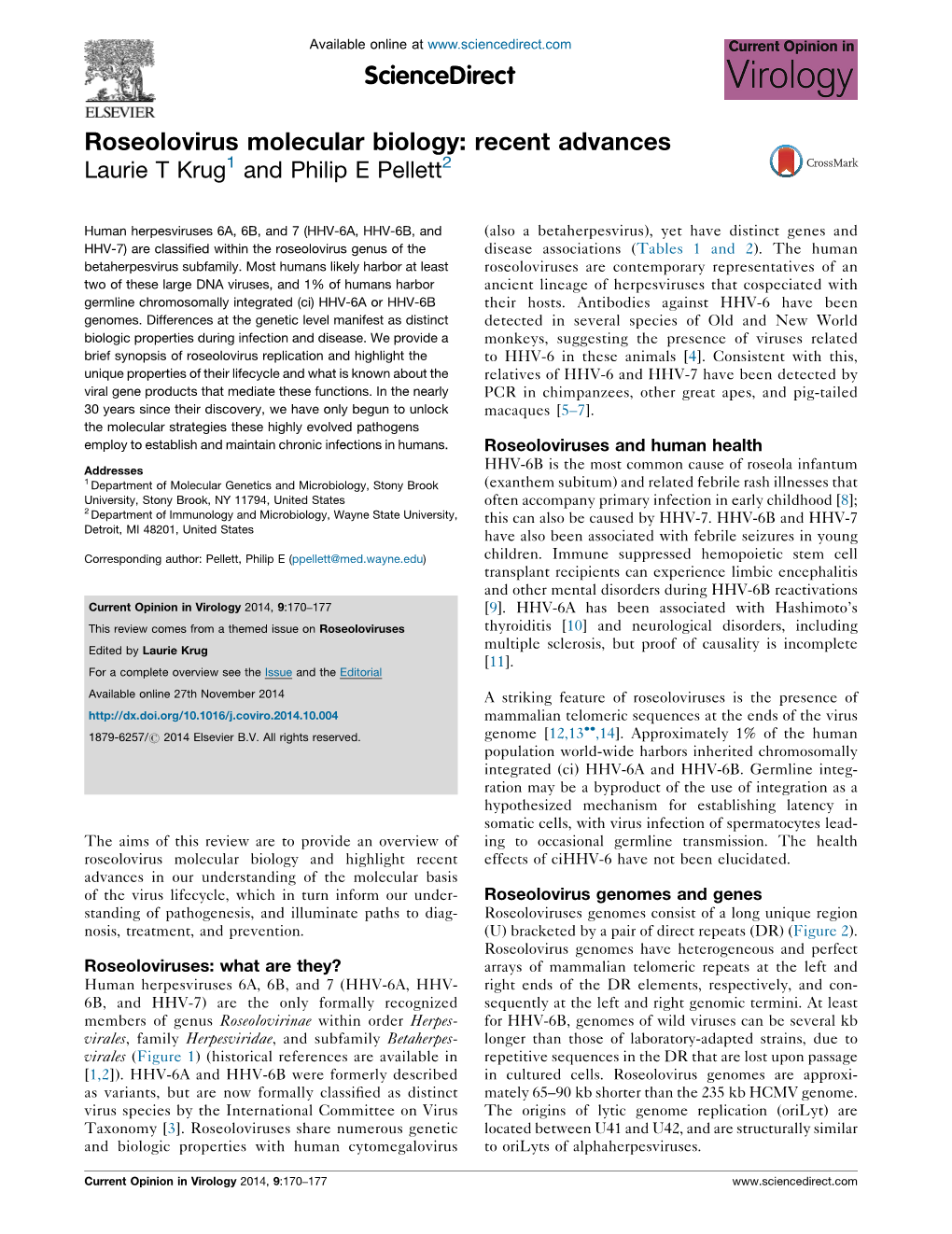 Roseolovirus Molecular Biology: Recent Advances