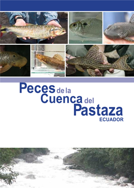 Peces De La Cuenca Del Pastaza, Ecuador Peces De La Cuenca Del Pastaza, Ecuador 4 5