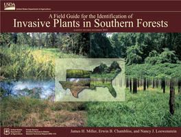 Invasive Plants in Southern Forests