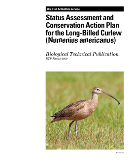 Conservation Plan for the Long-Billed Curlew, Numenius Americanus