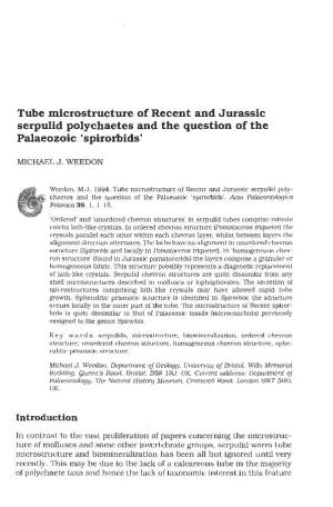 Tube Microstructure of Recent and Jurassic Serpulid Polychaetes and the Question of the Palaeozoic 'Spirorbids'
