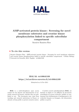 AMP-Activated Protein Kinase: Screening for Novel Membrane