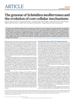 The Genome of Schmidtea Mediterranea and the Evolution Of