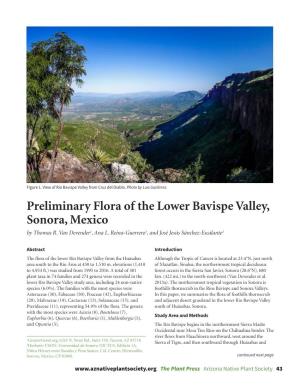 Preliminary Flora of the Lower Bavispe Valley, Sonora, Mexico by Thomas R