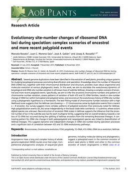 Evolutionary Site-Number Changes of Ribosomal DNA Loci During Speciation: Complex Scenarios of Ancestral and More Recent Polyploid Events