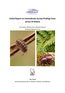 Initial Report on Invertebrate Survey Findings from Across St Helena