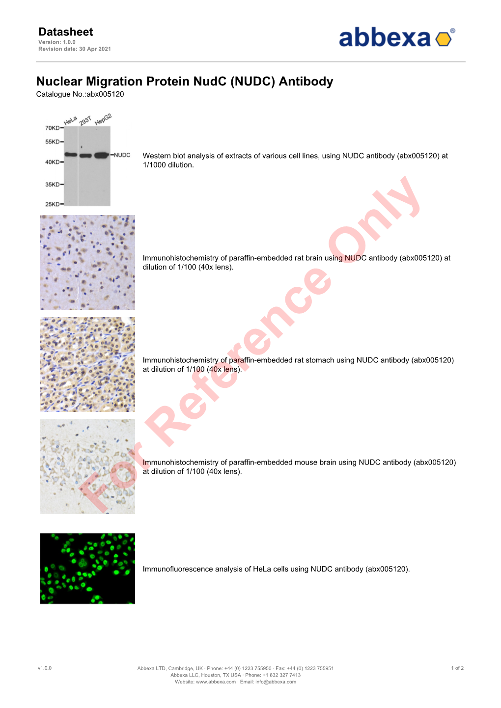 (NUDC) Antibody Catalogue No.:Abx005120