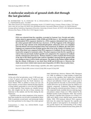 A Molecular Analysis of Ground Sloth Diet Through the Last Glaciation