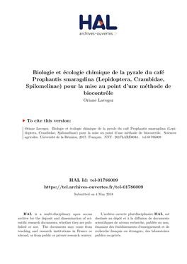 Biologie Et Écologie Chimique De La Pyrale Du Café Prophantis Smaragdina