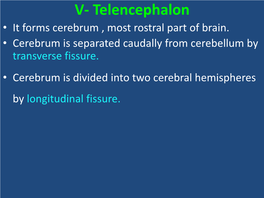 A) Cerebral Cortex: • Outer Most Gray Matter of Cerebrum, Covers Hemispheres , Named Pallium