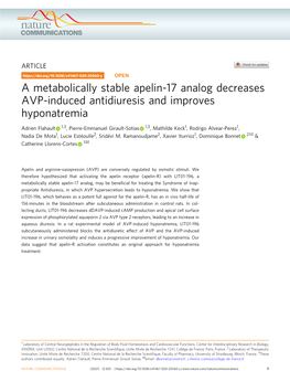 A Metabolically Stable Apelin-17 Analog Decreases AVP-Induced Antidiuresis and Improves Hyponatremia