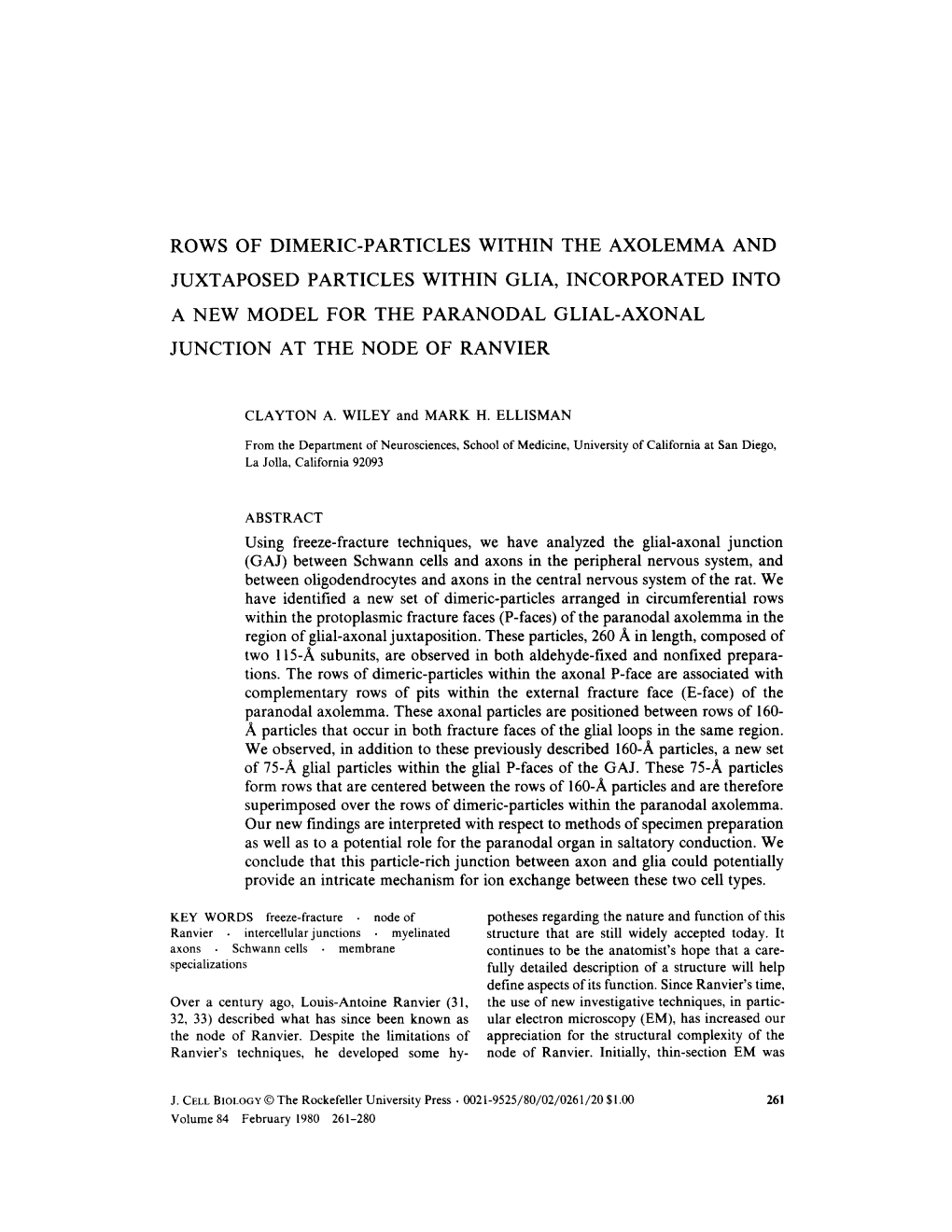 Rows of Dimeric-Particles Within the Axolemma And