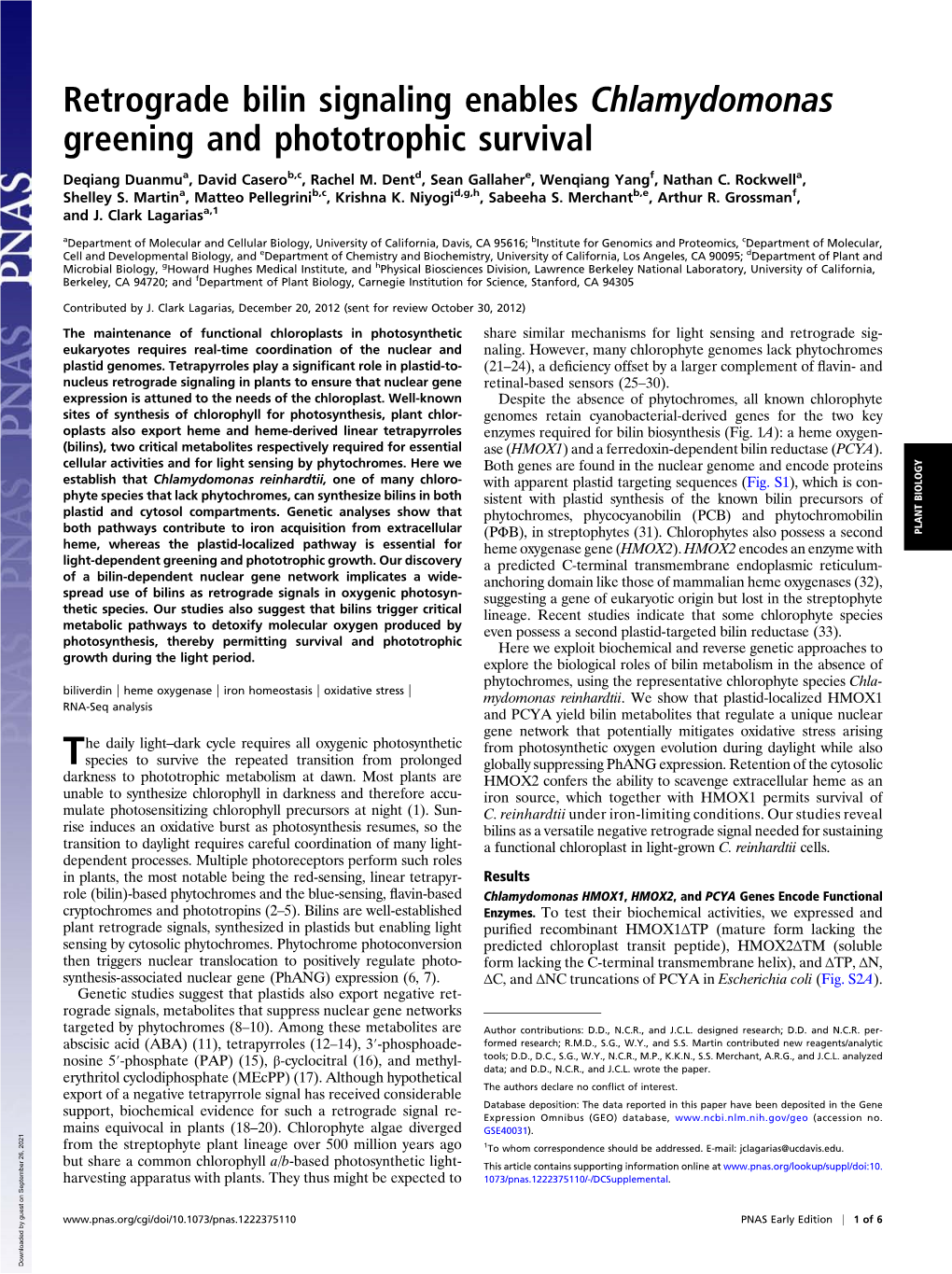 Retrograde Bilin Signaling Enables Chlamydomonas Greening and Phototrophic Survival