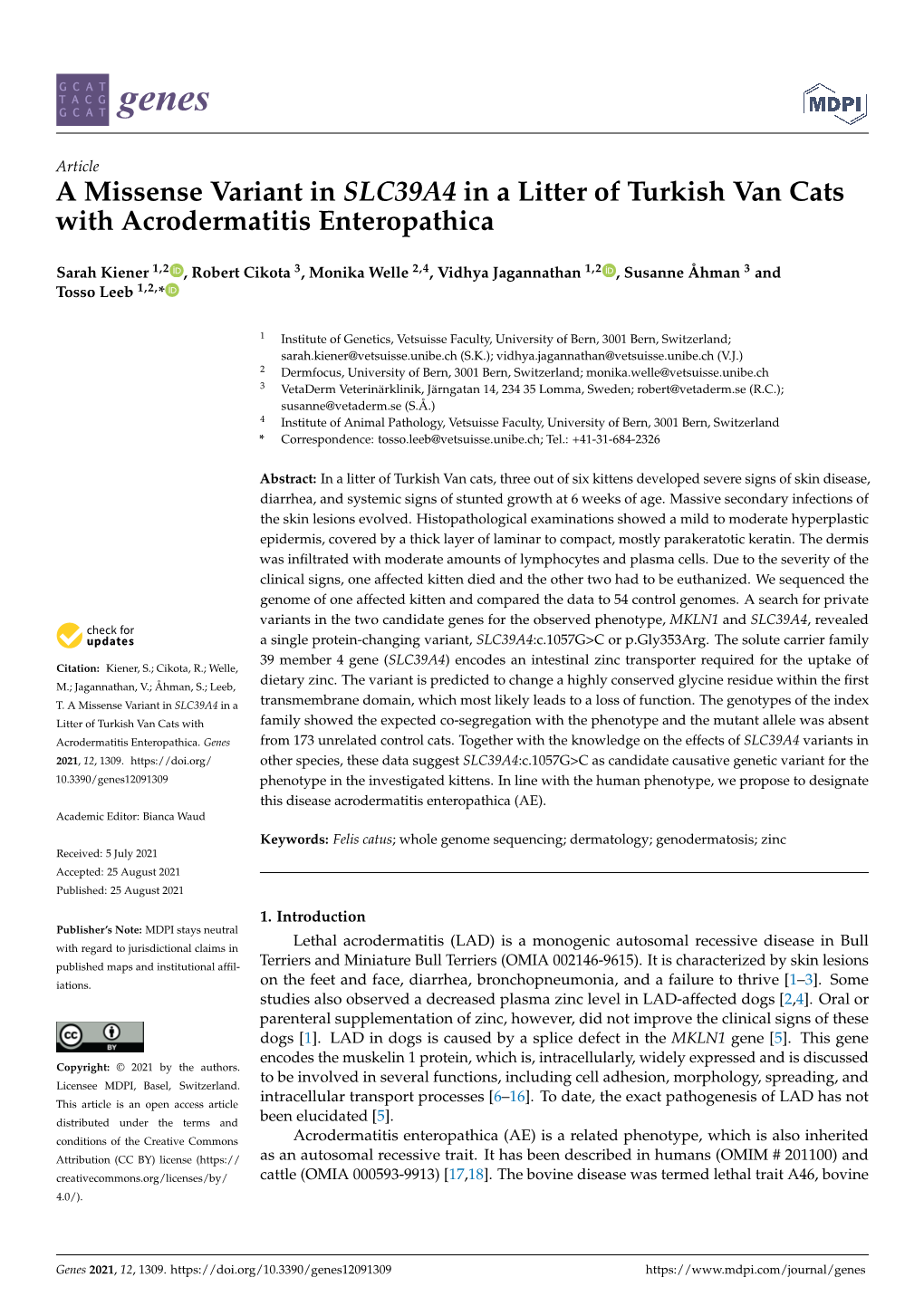 A Missense Variant in SLC39A4 in a Litter of Turkish Van Cats with Acrodermatitis Enteropathica