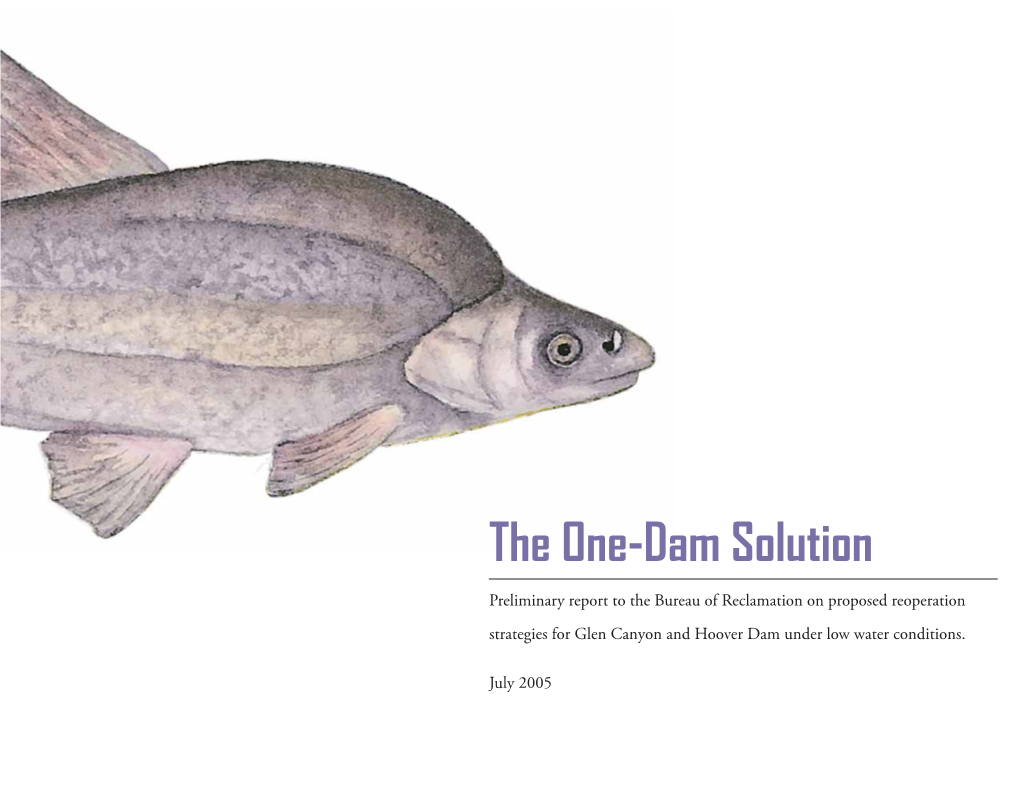 The One-Dam Solution