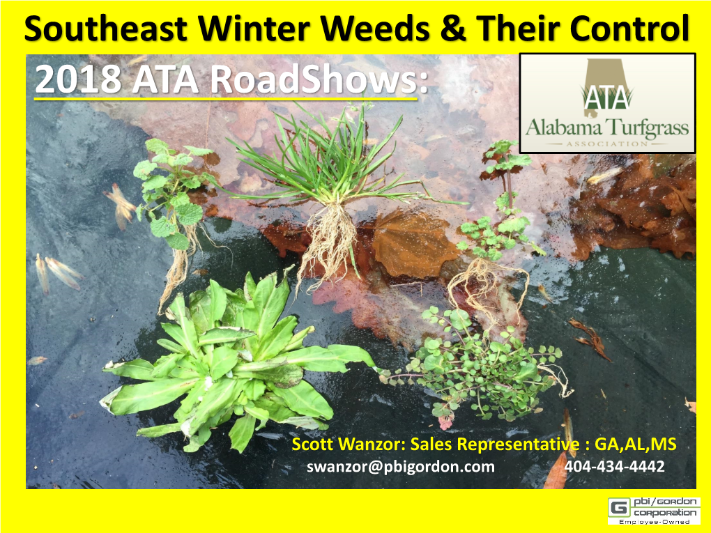 Southeast Winter Weeds & Their Control