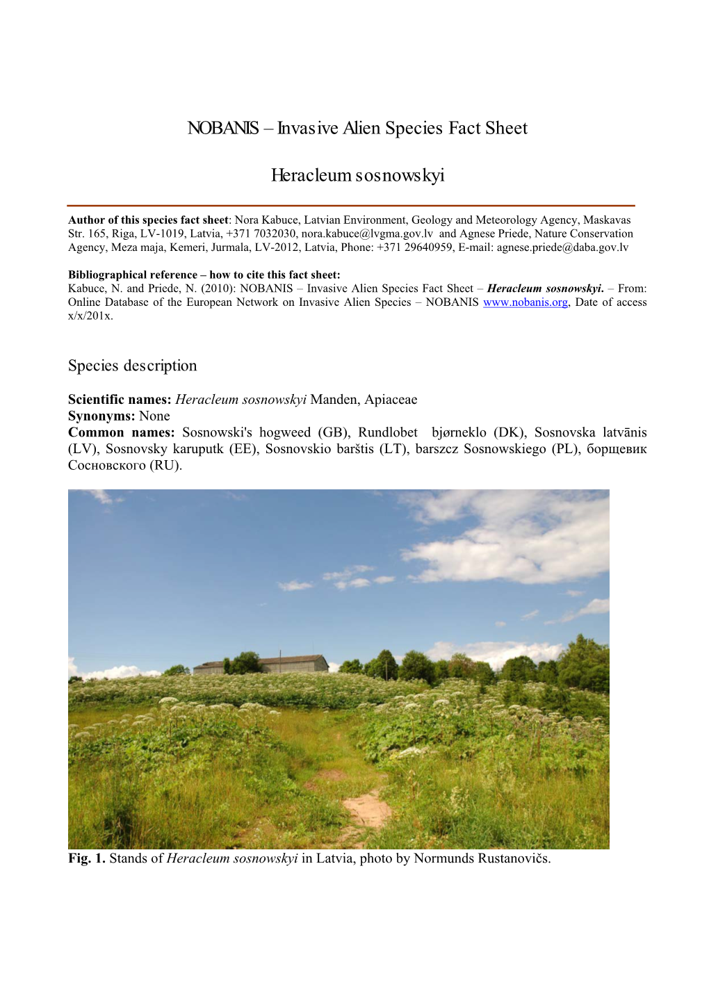 Invasive Alien Species Fact Sheet Heracleum Sosnowskyi