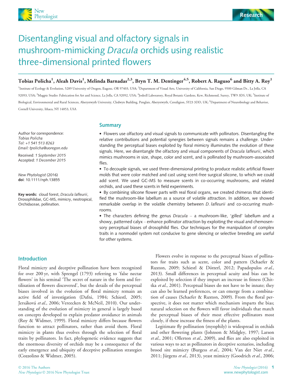 Mimicking Dracula Orchids Using Realistic Three‐