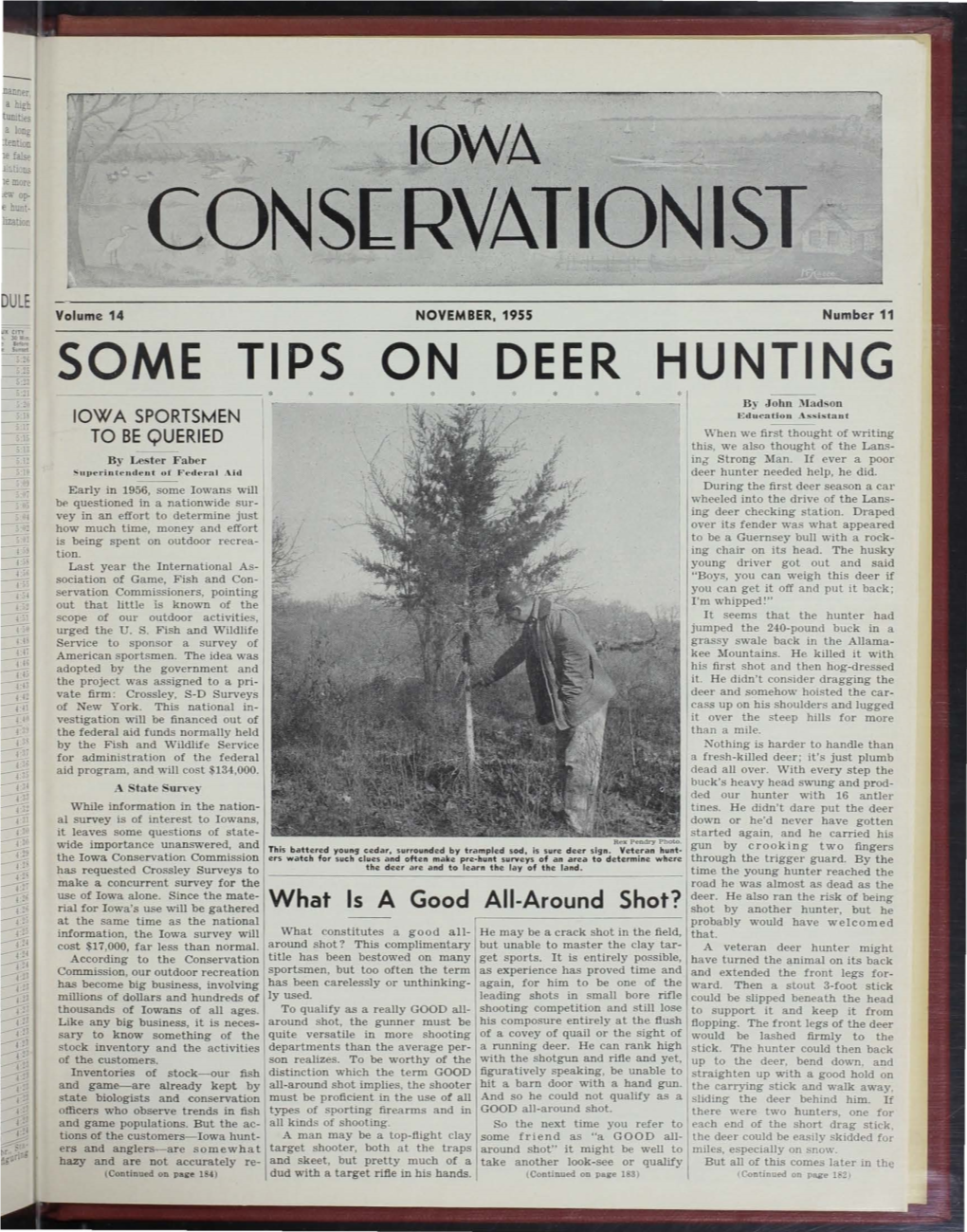Some Tips Deer Hunting