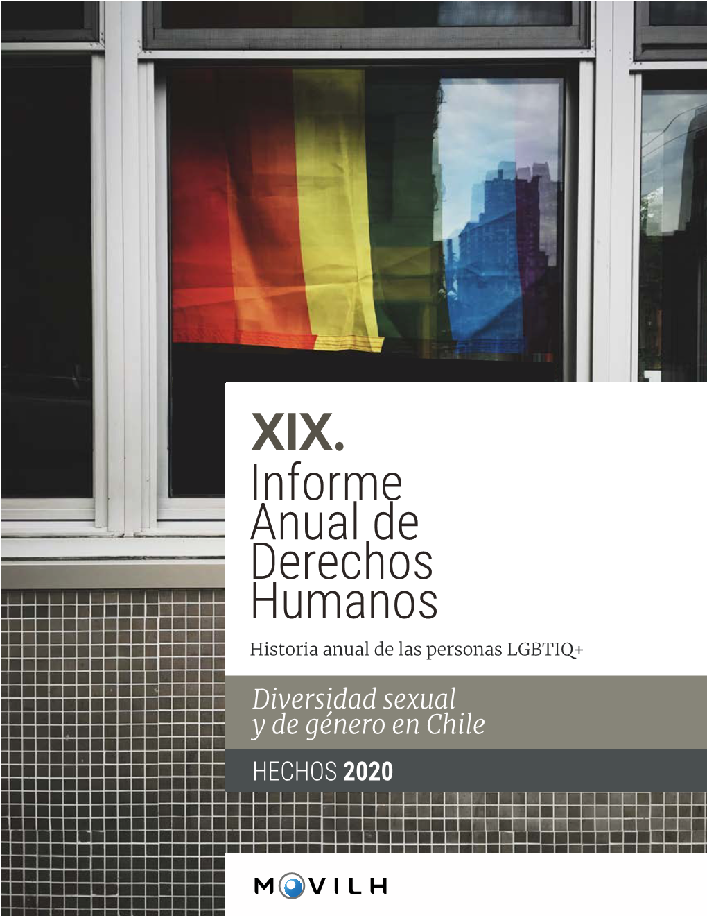 XIX Informe Anual De Derechos Humanos De La Diversidad Sexual Y De Género