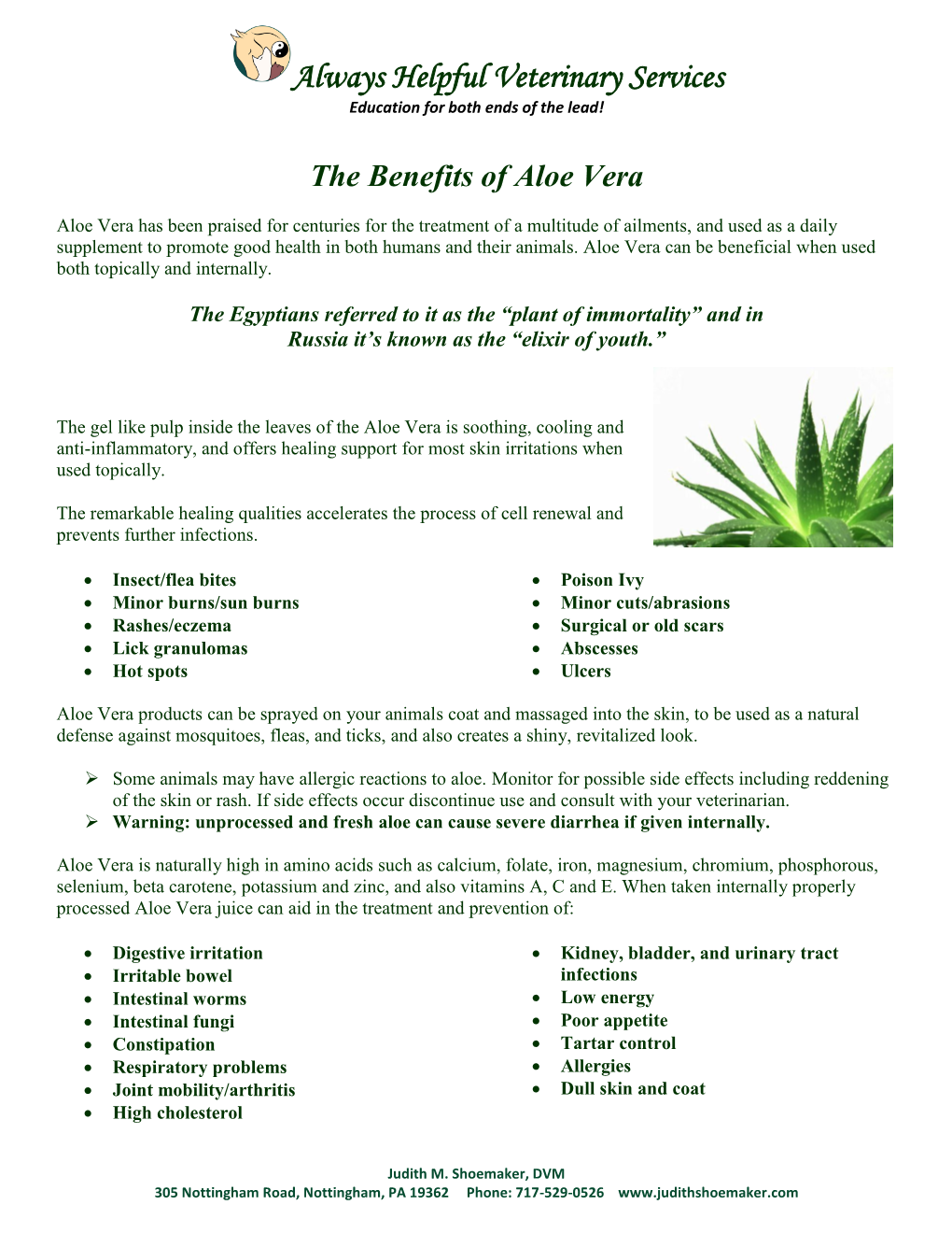 The Benefits of Aloe Vera