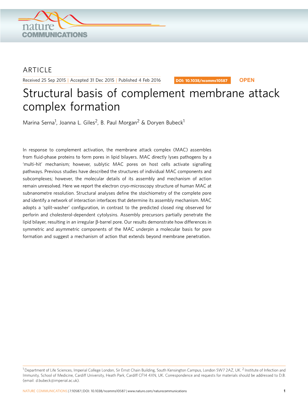 Structural Basis of Complement Membrane Attack Complex Formation